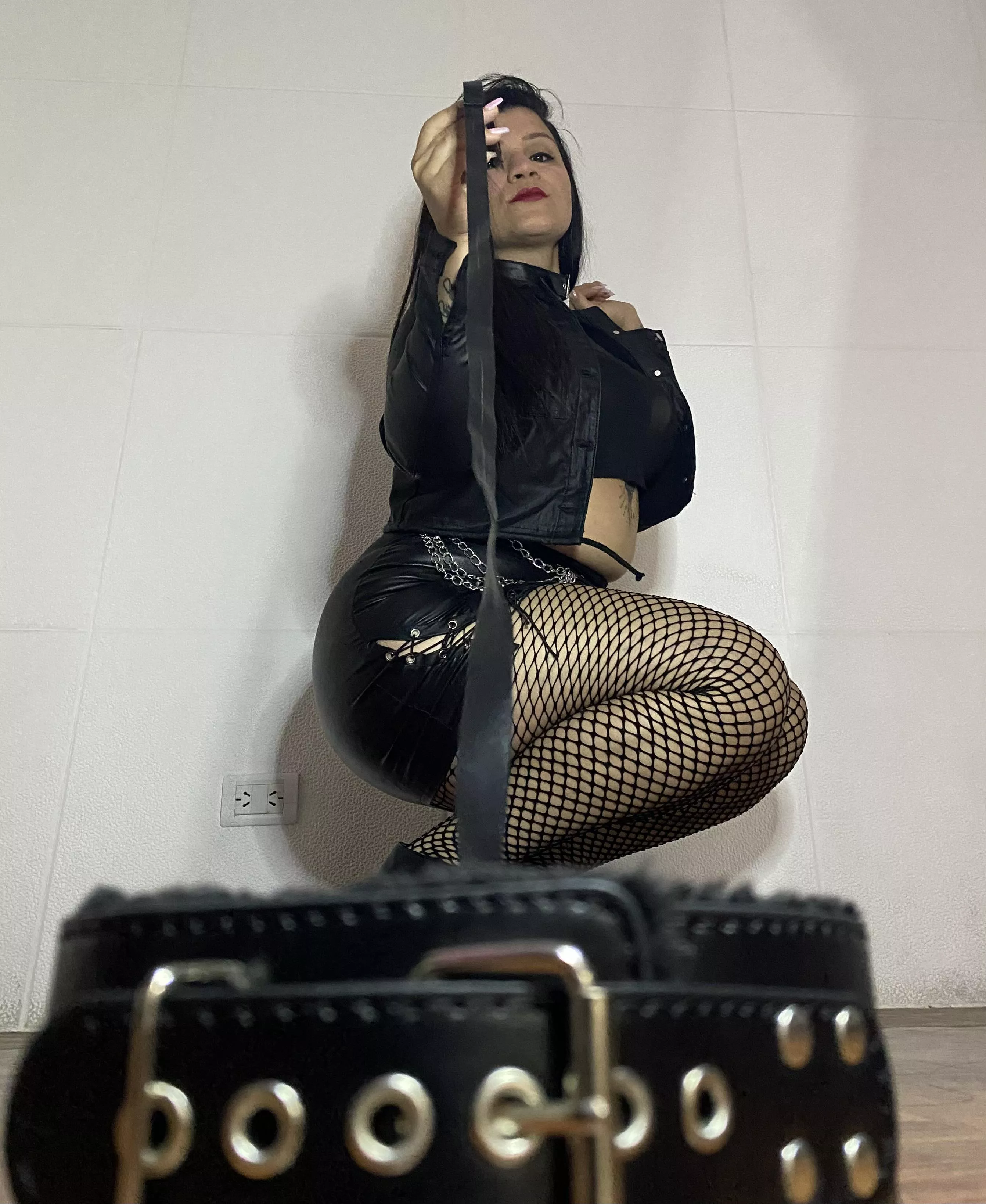 I'm looking for a new pet that is good and wants to empty its bank account with me