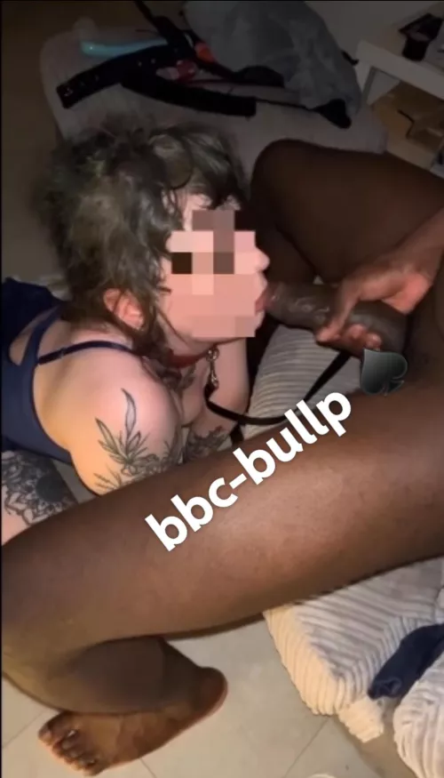 M4F M4FM Put a collar on her and fucked her while her husband recorded ♠️ Who’s next in Houston area hmu 