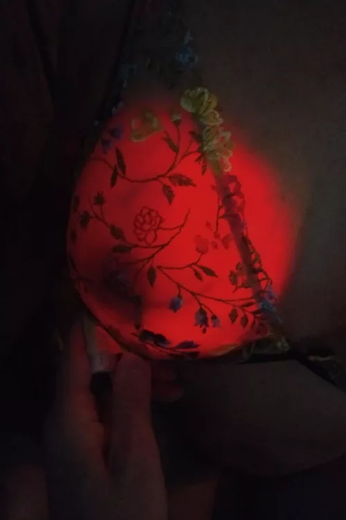 Met a new friend (repost)