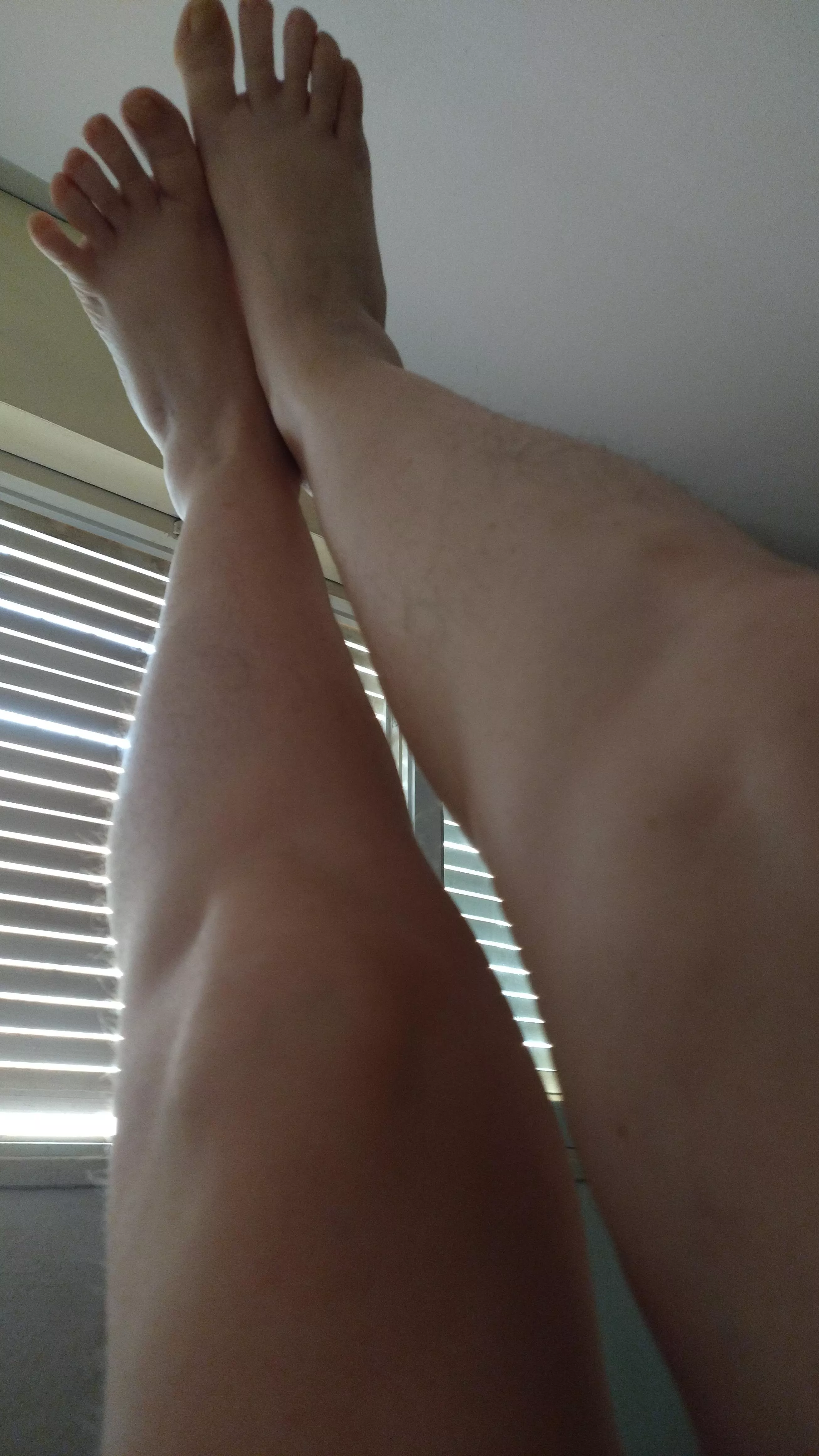 Morning hairy legs 