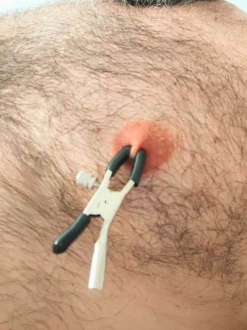 OC want you suck my nipples 