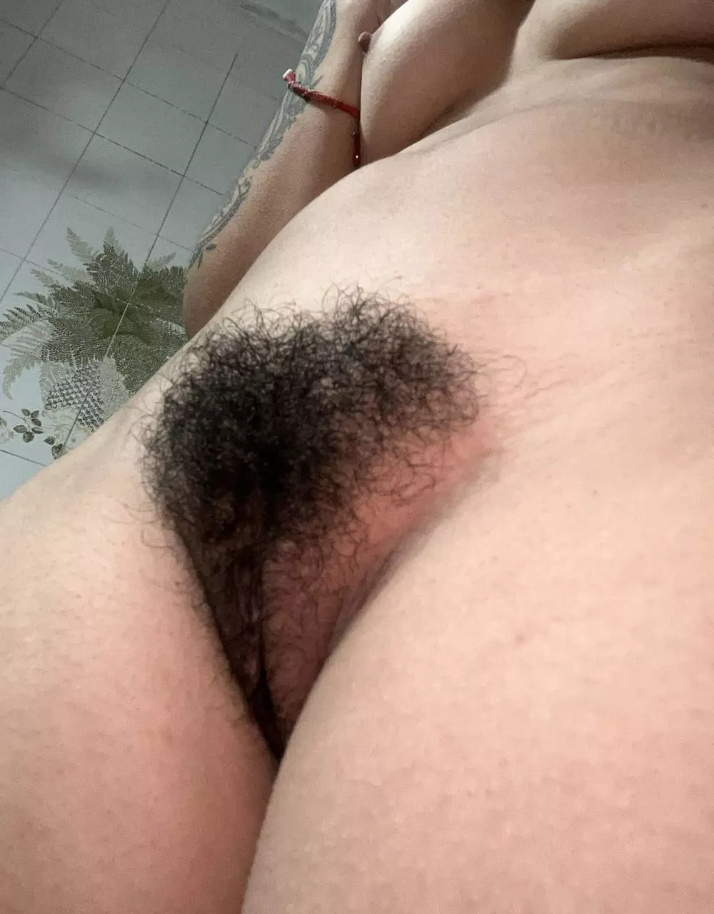 Suck my hairy pussy?