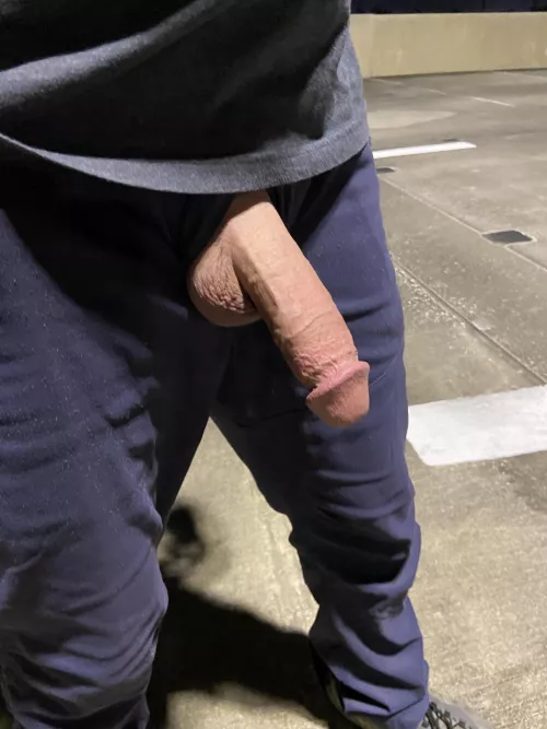 #Tampa , Out for a walk on this beautiful evening