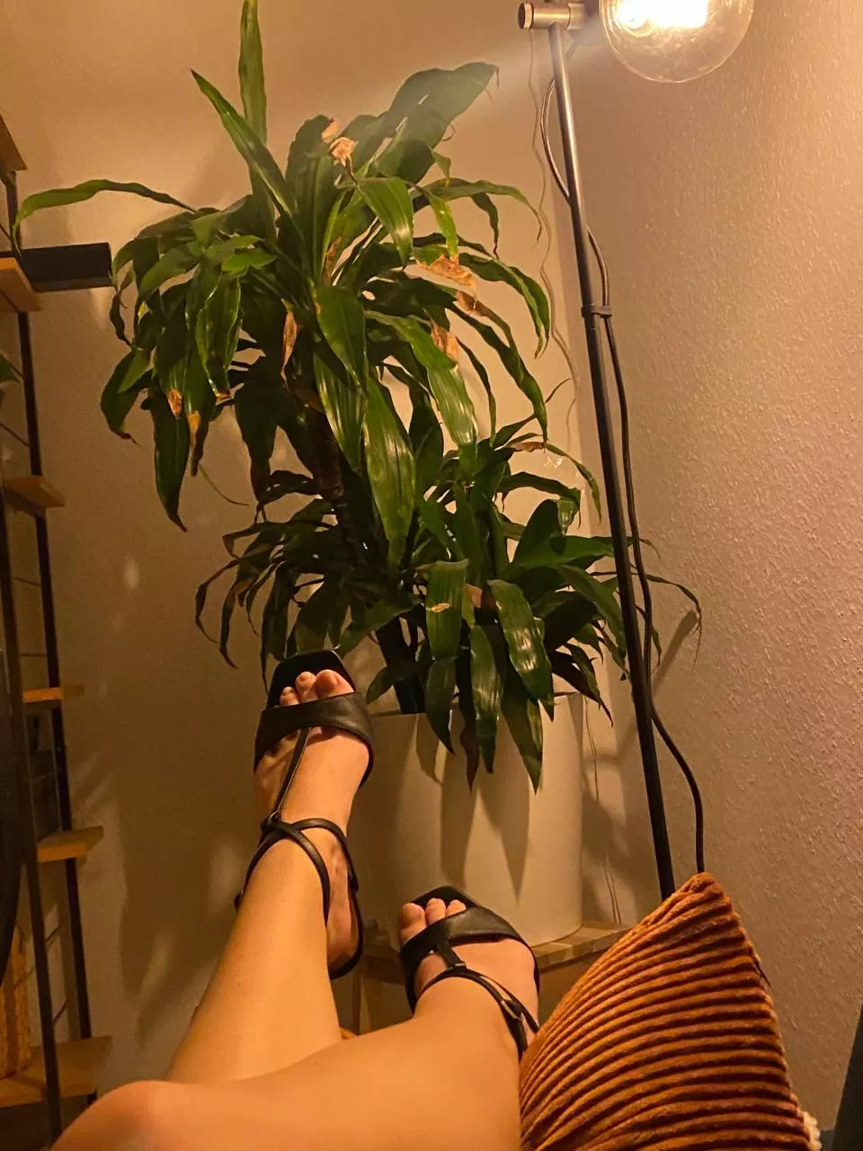 the best feet for you