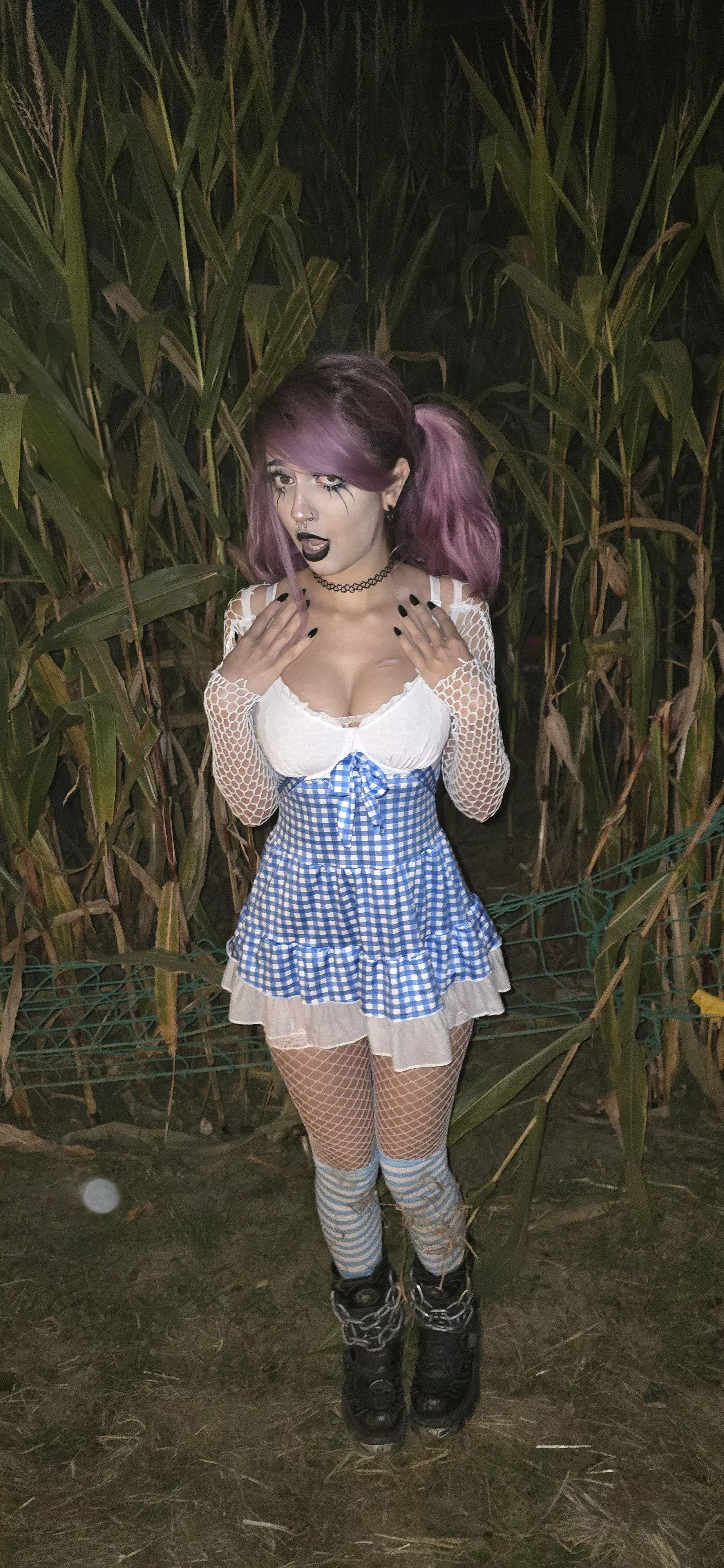 We're definitely not in Kansas anymore!