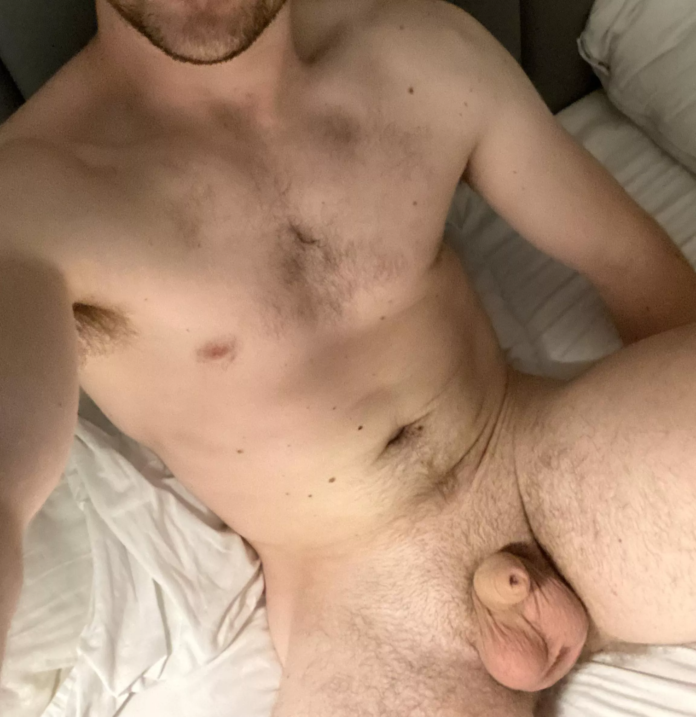 What should I post next?