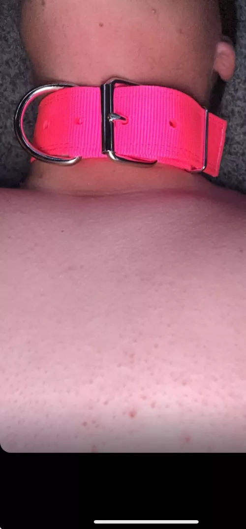 Who wants to fuck my ass and throat ? 