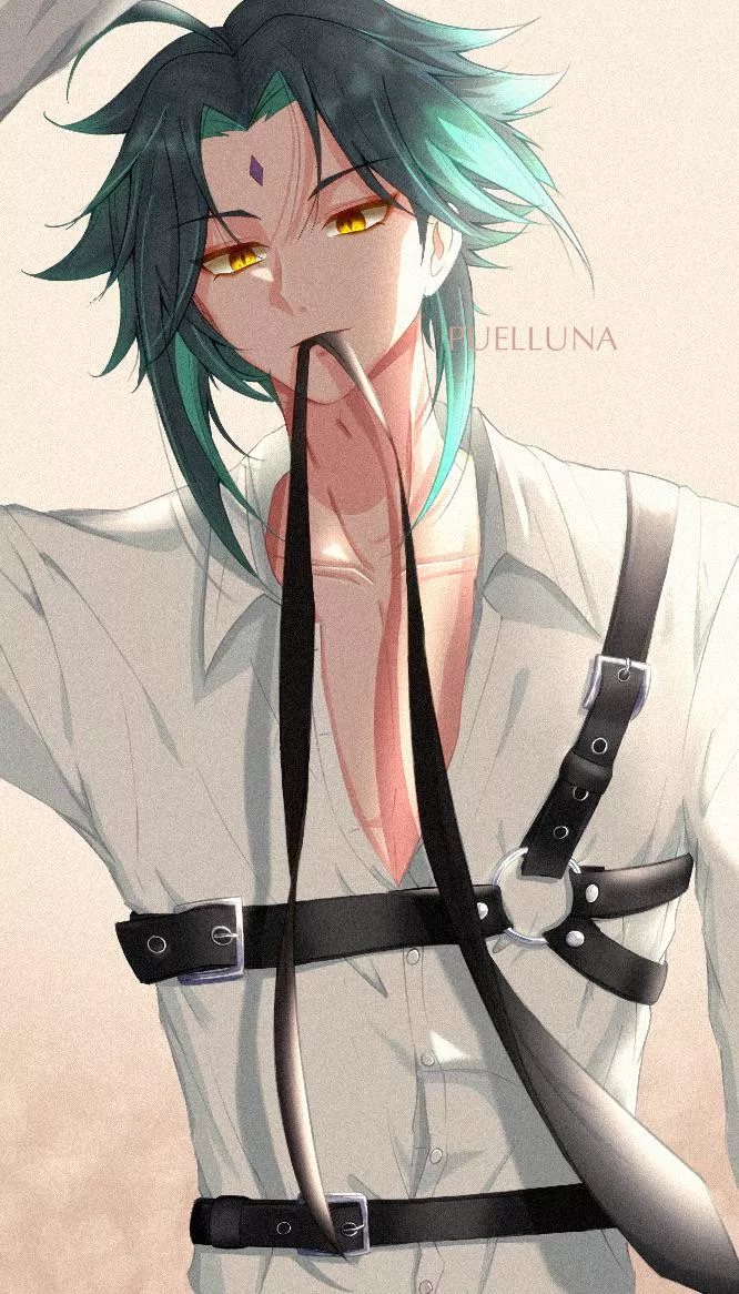 Xiao in harness (puelluna)