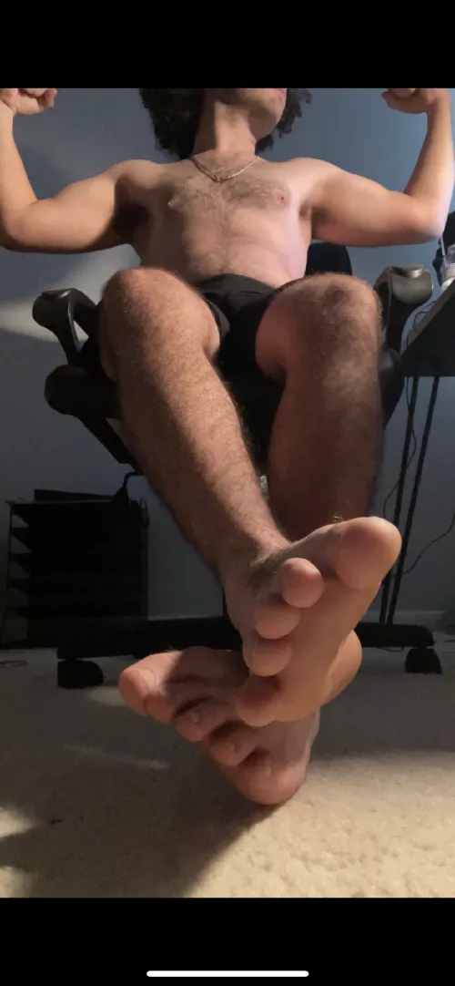 your service starts today pig. be ready to tribute, and serve