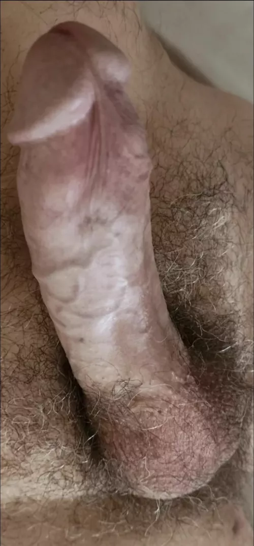 52 [M4F] #CNJ - You're a piece of shit whore who probably can't even suck this right 