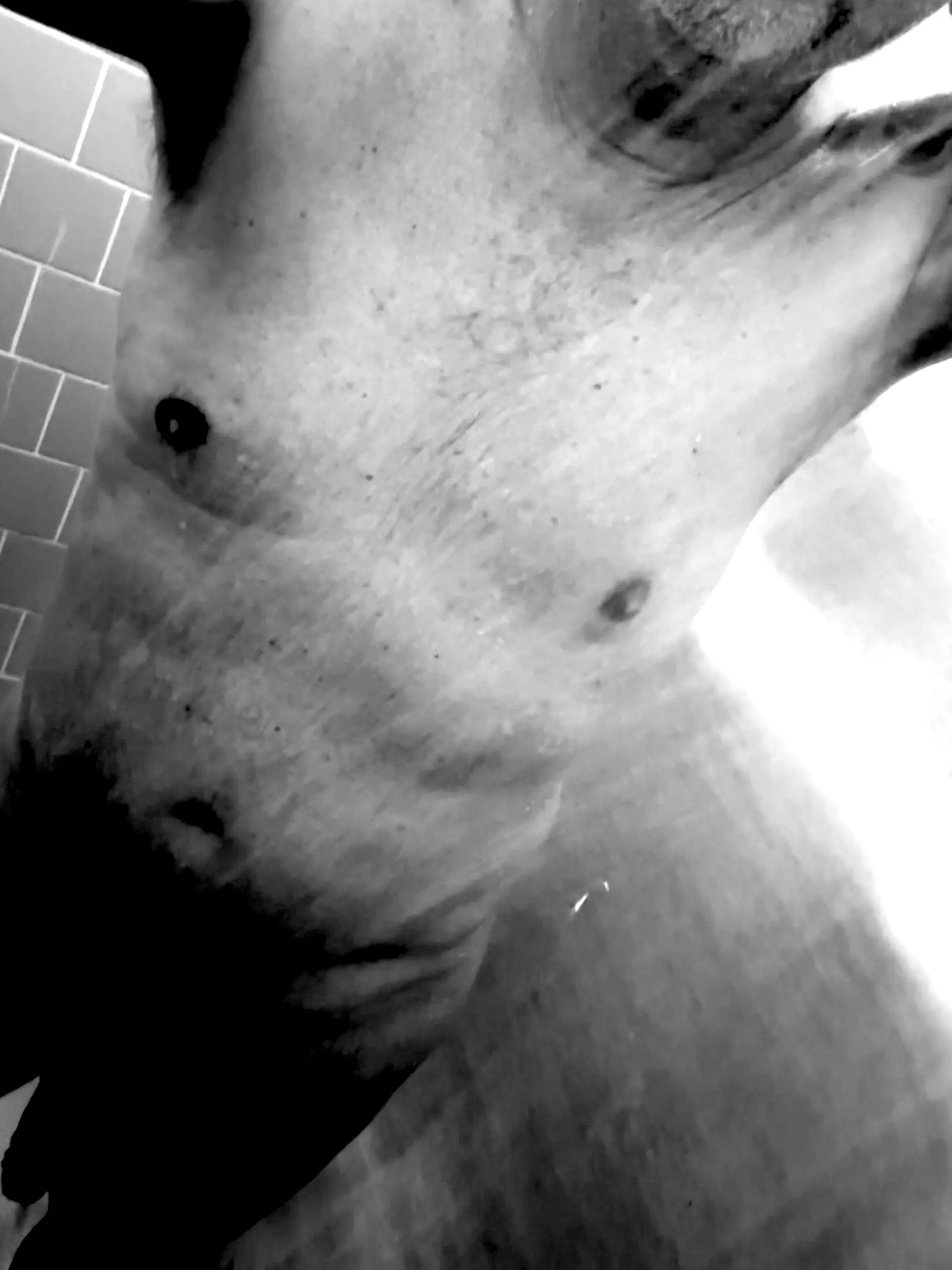 Fall days and long showers [M]