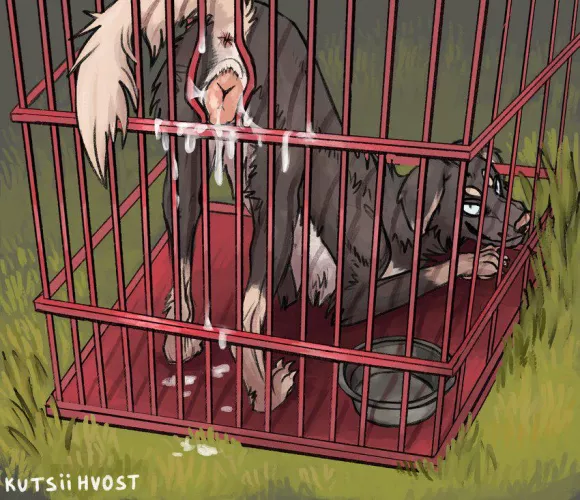 good doggie in the cage :3