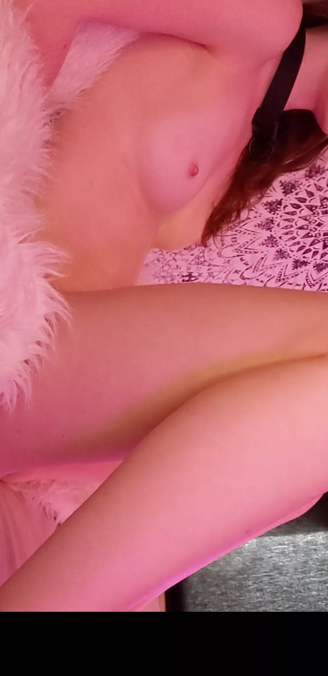 I have collar and leash on. Waiting for instructions 