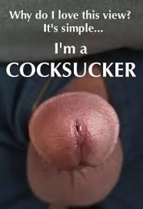 I love sucking cocks