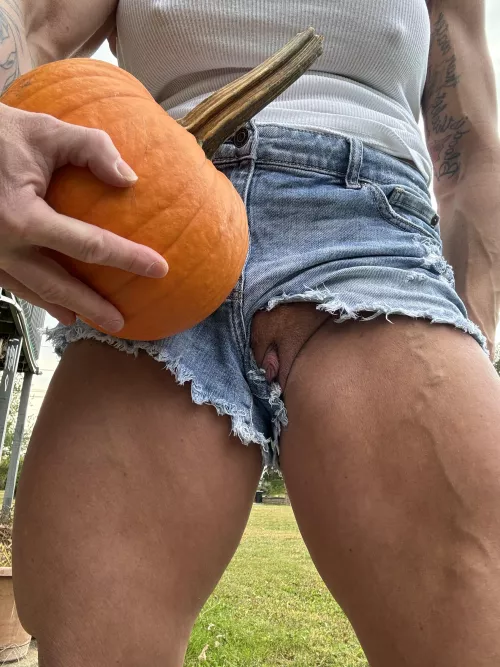 I mean Who doesn’t love pumpkin pie 