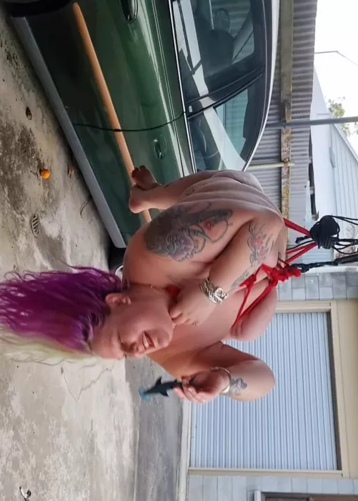 Just hanging around with a toy shark 