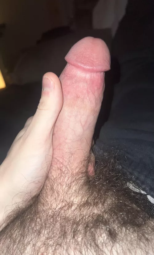 (M) 24 year old stoner meat for you