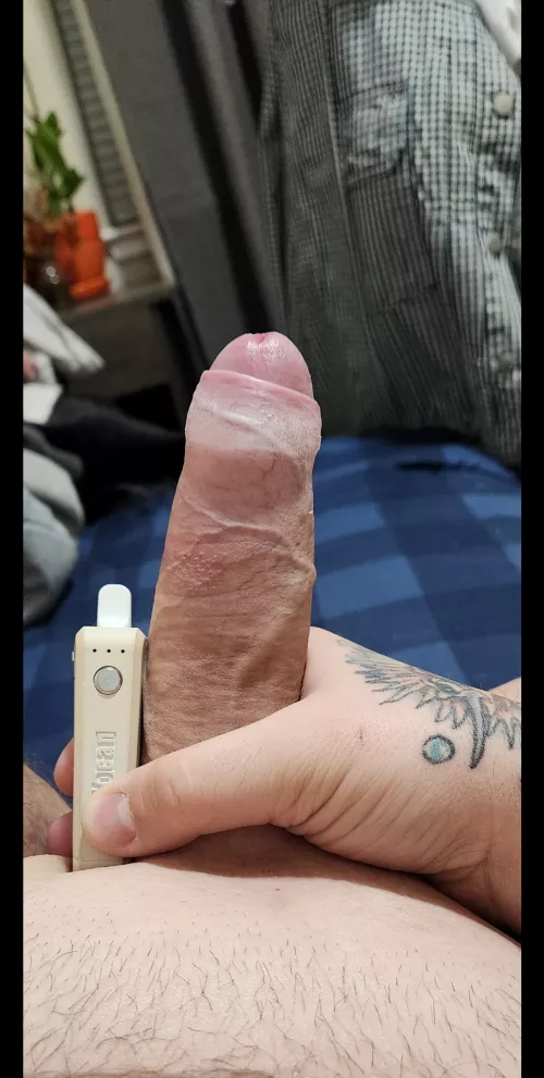 [M] No bush, but plenty of tree 🫡