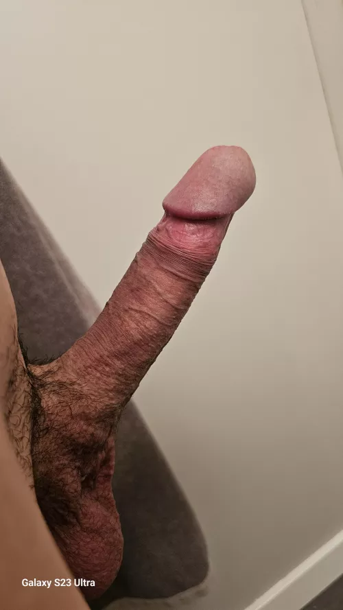 (M) who want a stud ?