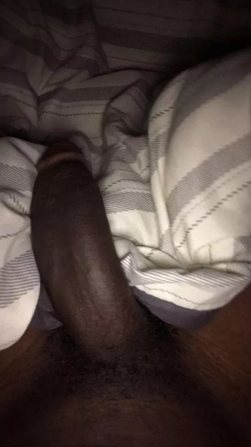 Need a good boy who can take orders