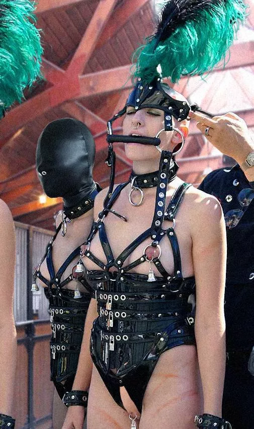 Ponygirls in the stable