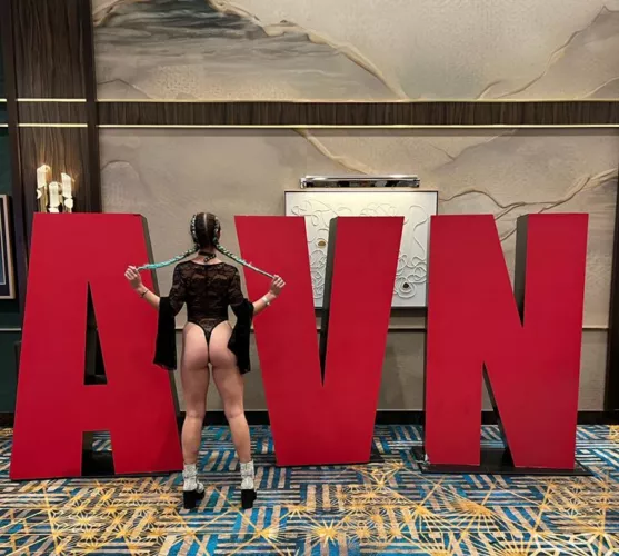 Should I go back to AVN next year? 😈