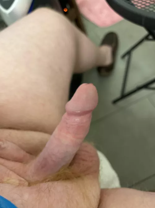 Small Ginger Cock