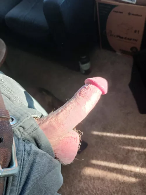 Soaking up some afternoon sun!![51]