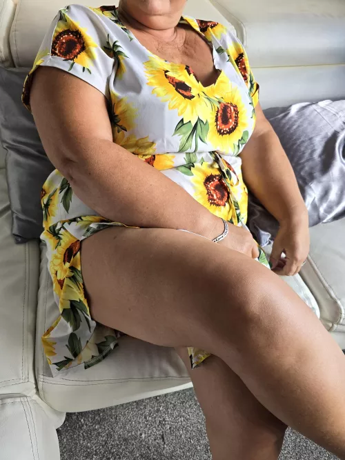 Sunflower morning. Bright your day.