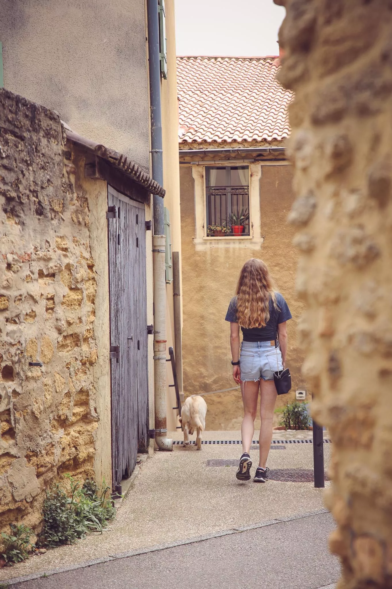 Want to join me on a little walk?