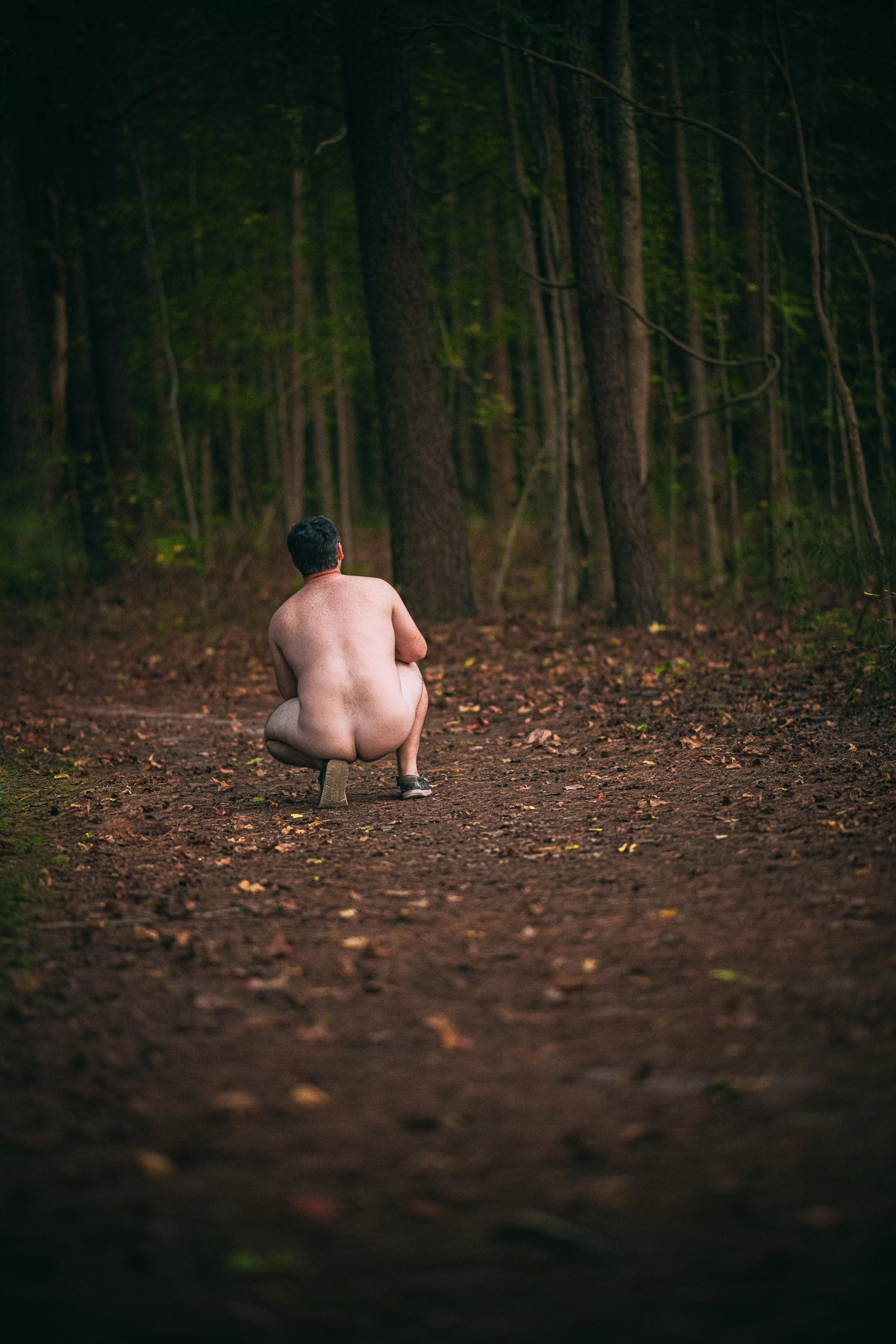 What a nice evening for a walk