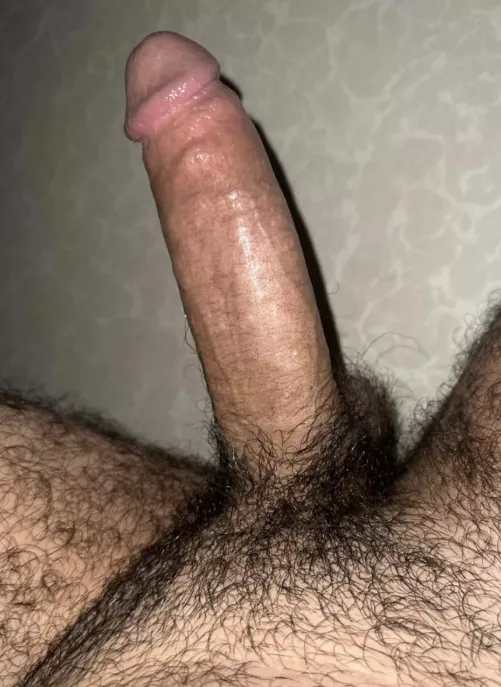 Who need ride ? Desi bull here