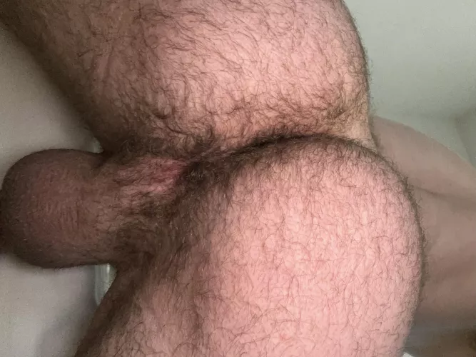 Would you rather eat or fuck my hairy ass if you could only pick one