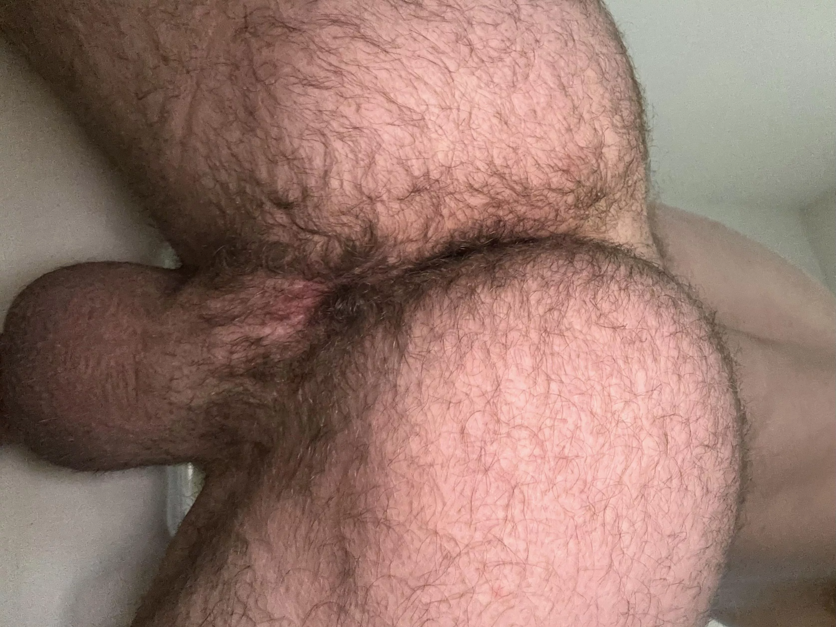 Would you rather eat or fuck my hairy ass if you could only pick one