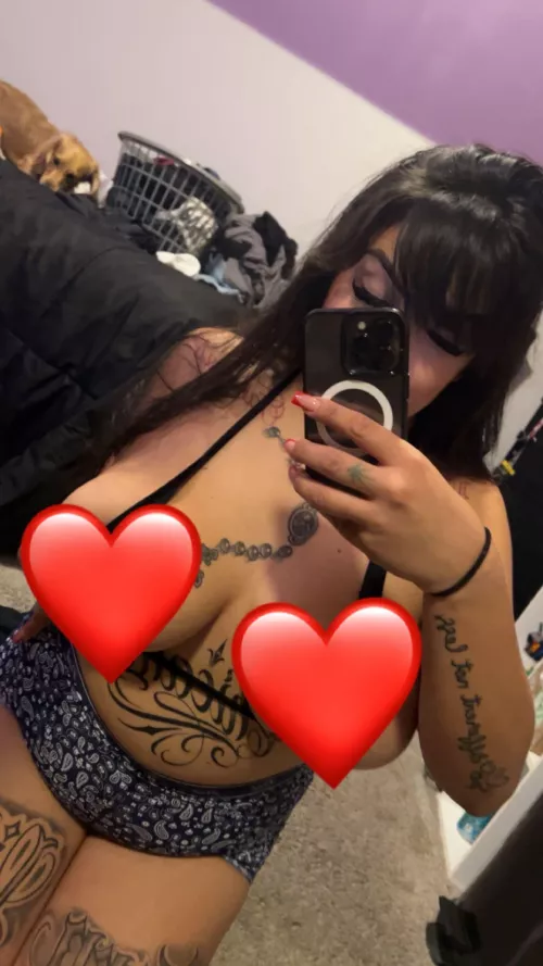 Your Favorite Gordita In The PNW 🥰