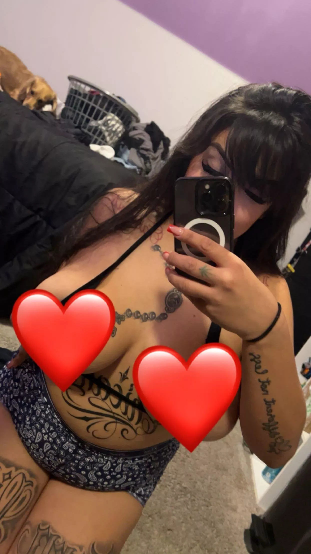 Your Favorite Gordita In The PNW 🥰