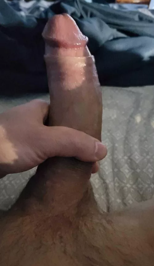 10 inch BWC loves to show off and chat...