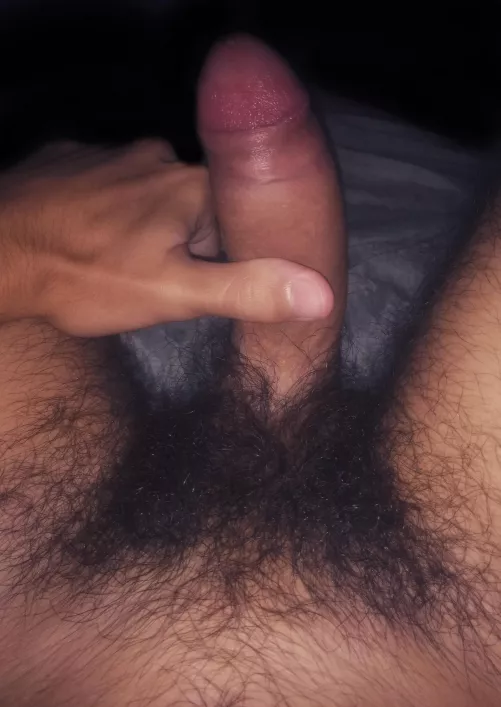 (19) Algm curte 13cm??