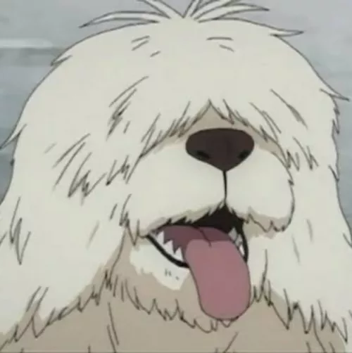 39 [M4F] #Australia Seeking an owner to embrace pet life 24/7