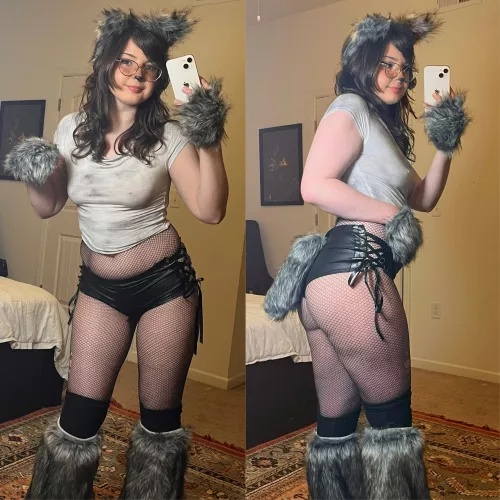 cat girls are cute but what about wolf girls?