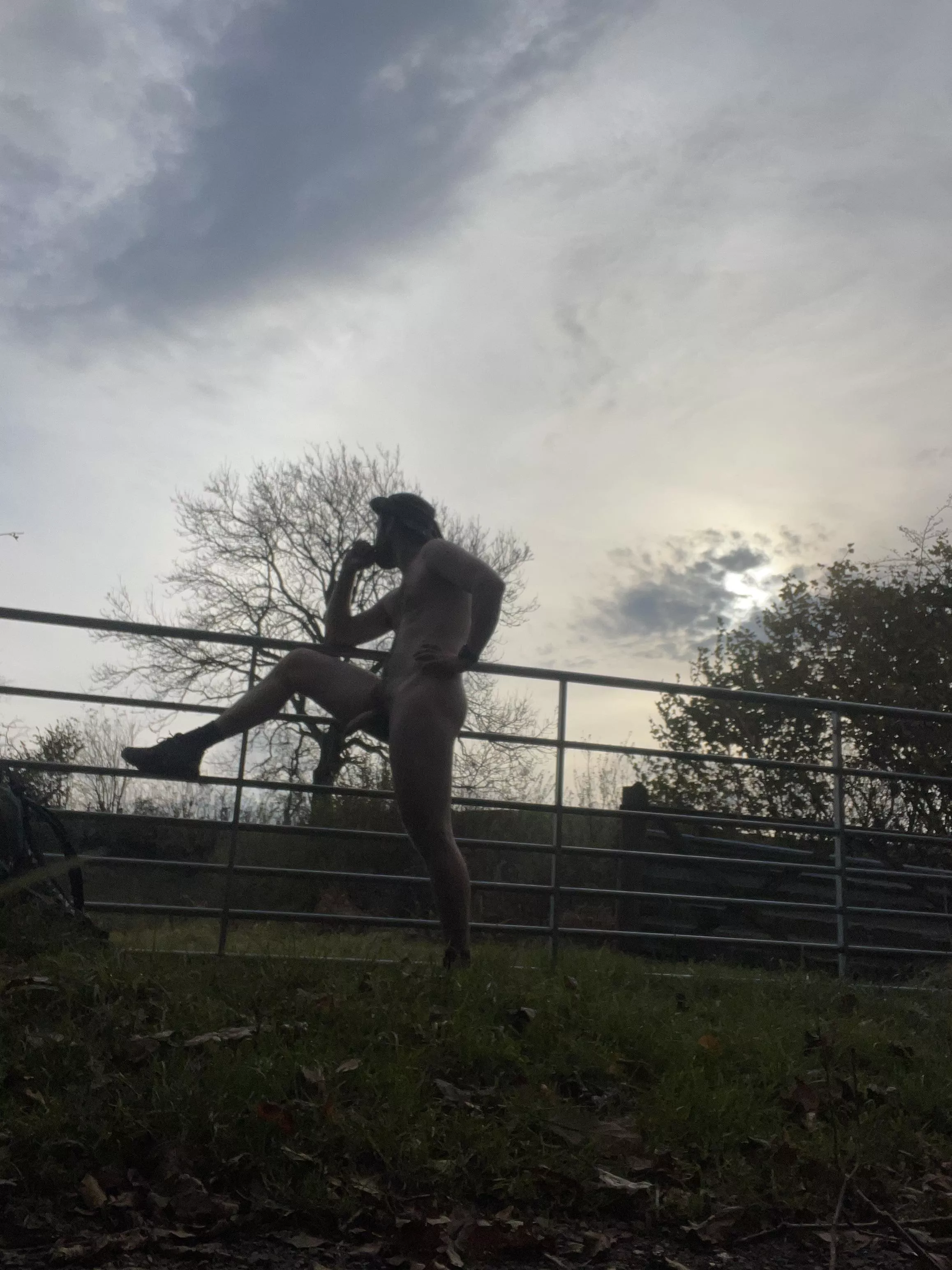 Enjoying the fresh morning sun today in the UK