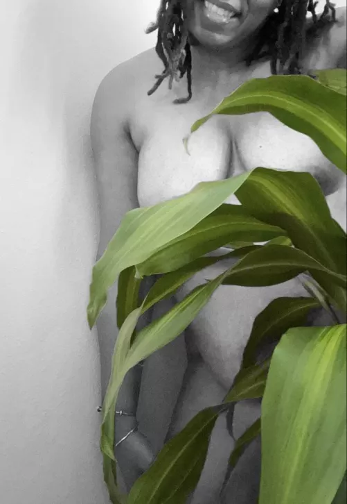 Fancy a game of hide ‘n seek? [wpc]