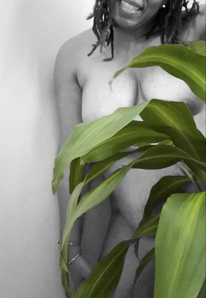 Fancy a game of hide ‘n seek? [wpc]