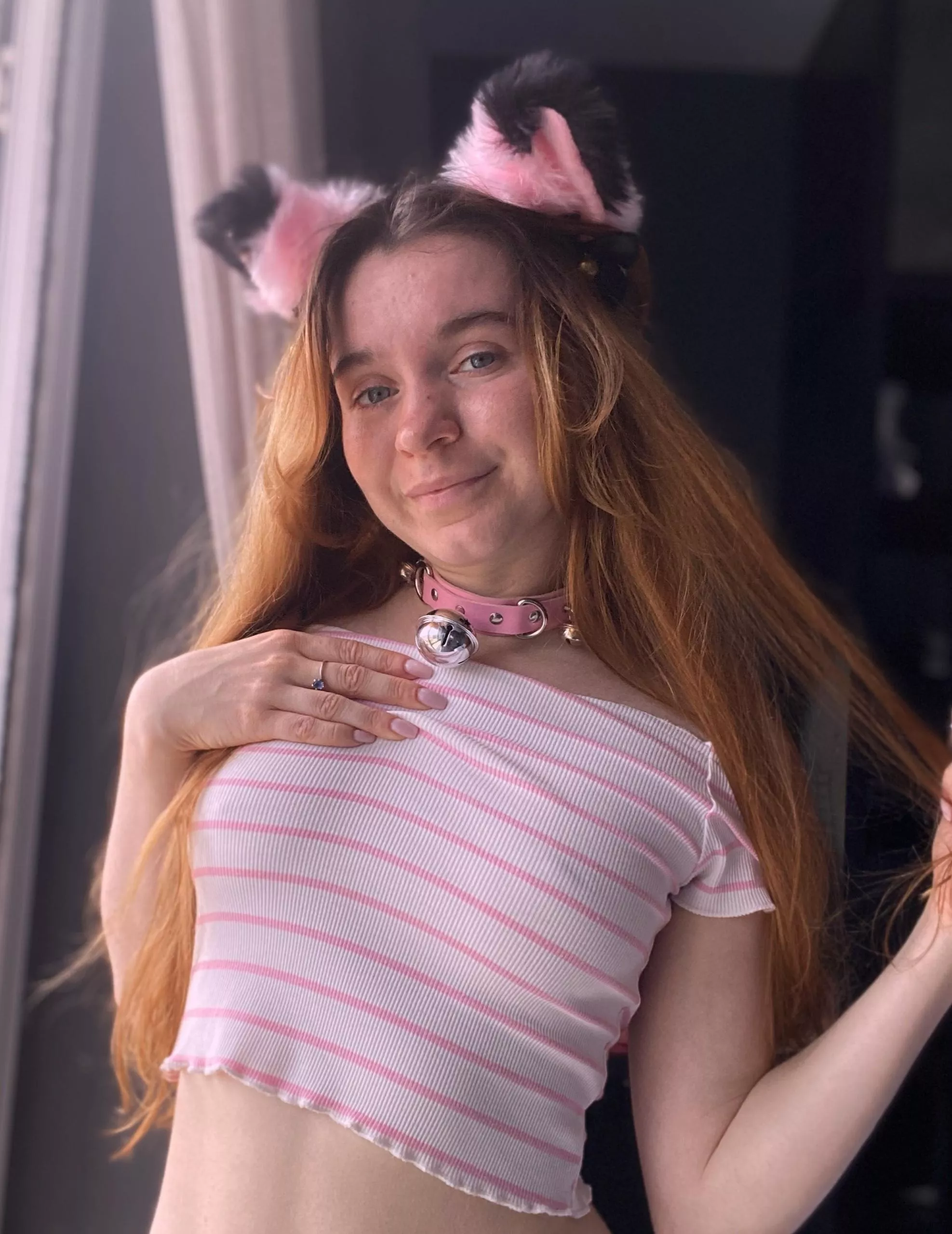 I'm trying to be a wild cat but I'm still a cute kitty at heart