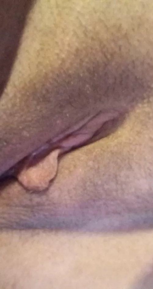 Looking for another lady or trans girl to play with me and my hubby DM me 