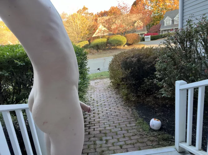 My Halloween costume has arrived! Does it go well with these thighs 😉