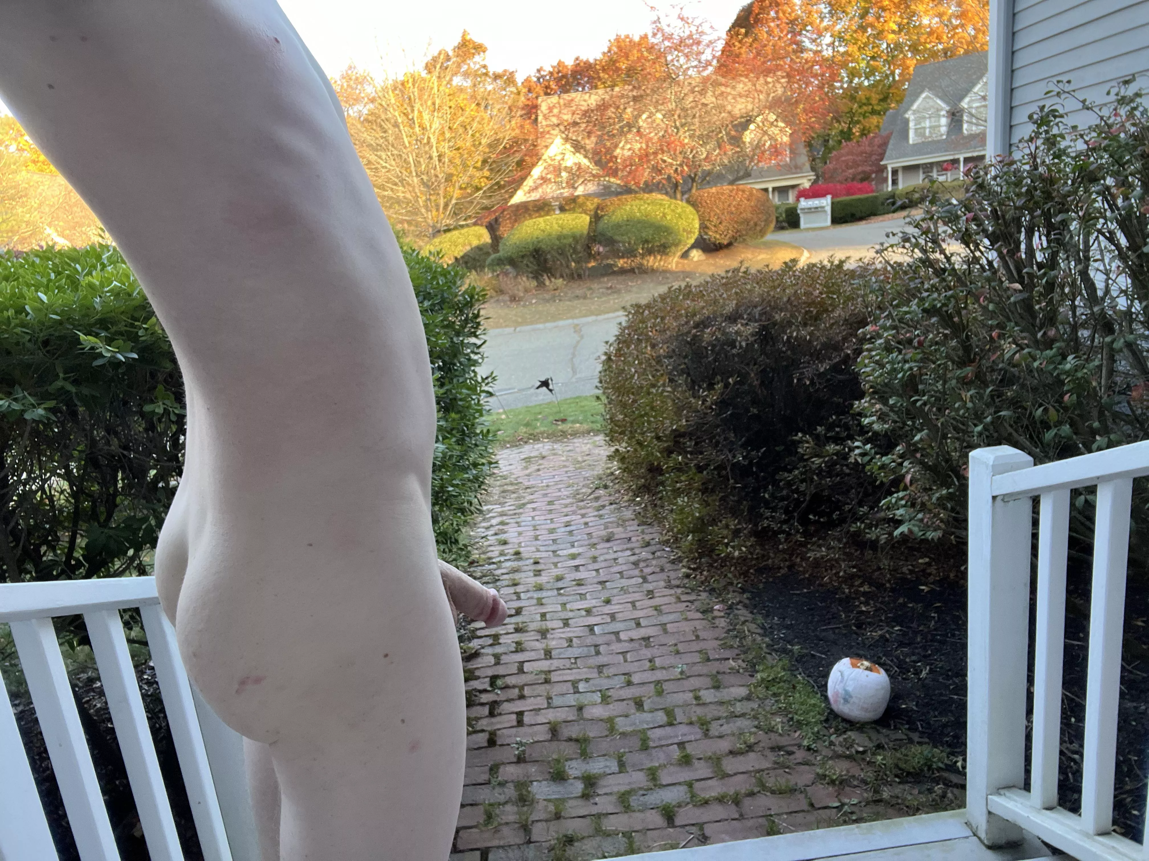 My Halloween costume has arrived! Does it go well with these thighs 😉