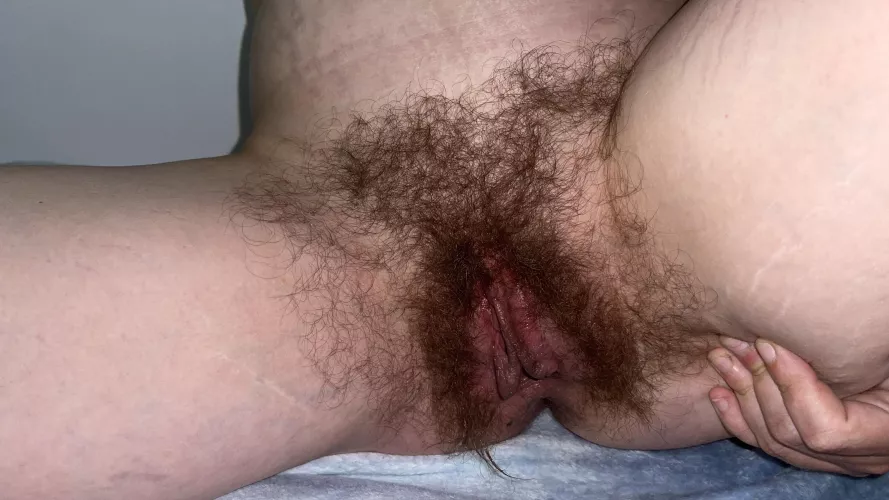 My wild bush needs to be Domestically tamed