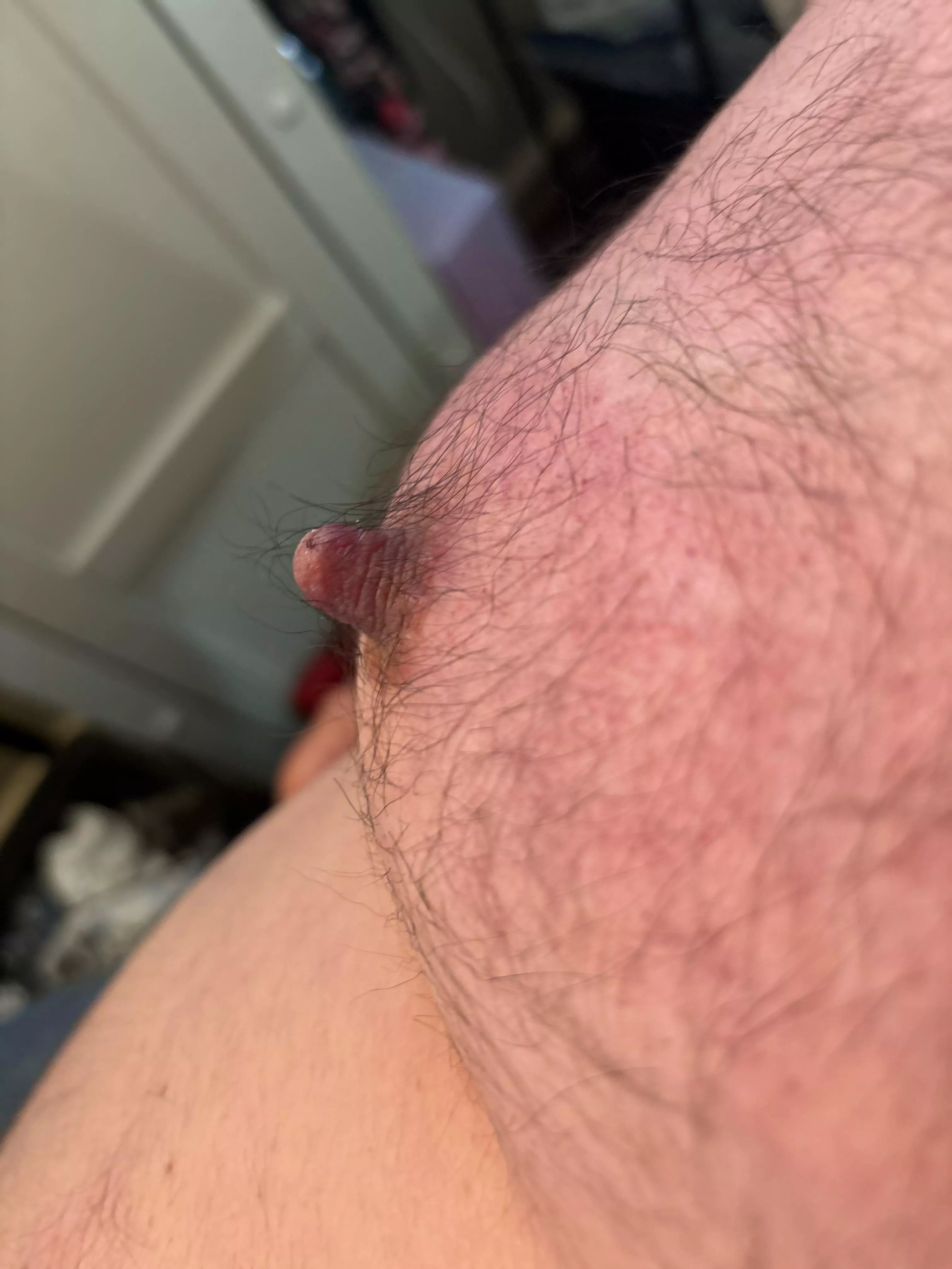 Need these nips worshipped