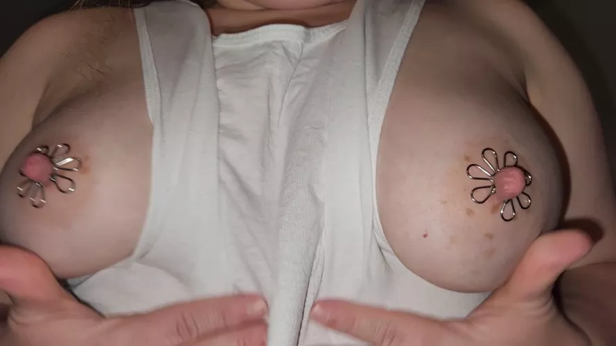 Texas decorated tits